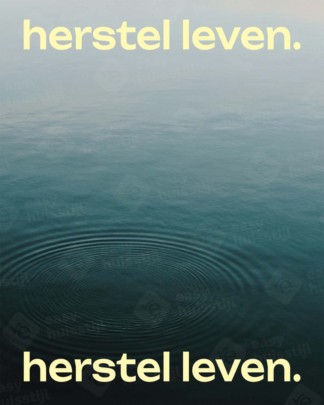 017 - Herstel leven