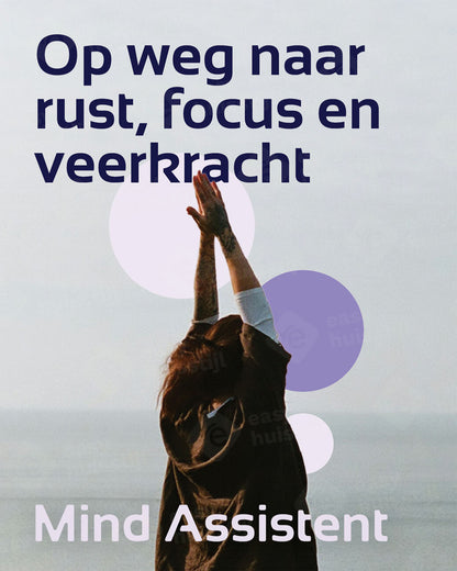 022 - Mind assistent